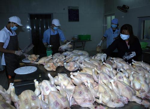 Không cung cấp tem ATTP cho cơ sở không đủ điều kiện